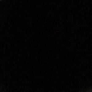 Meet your Posher, Lorenzo